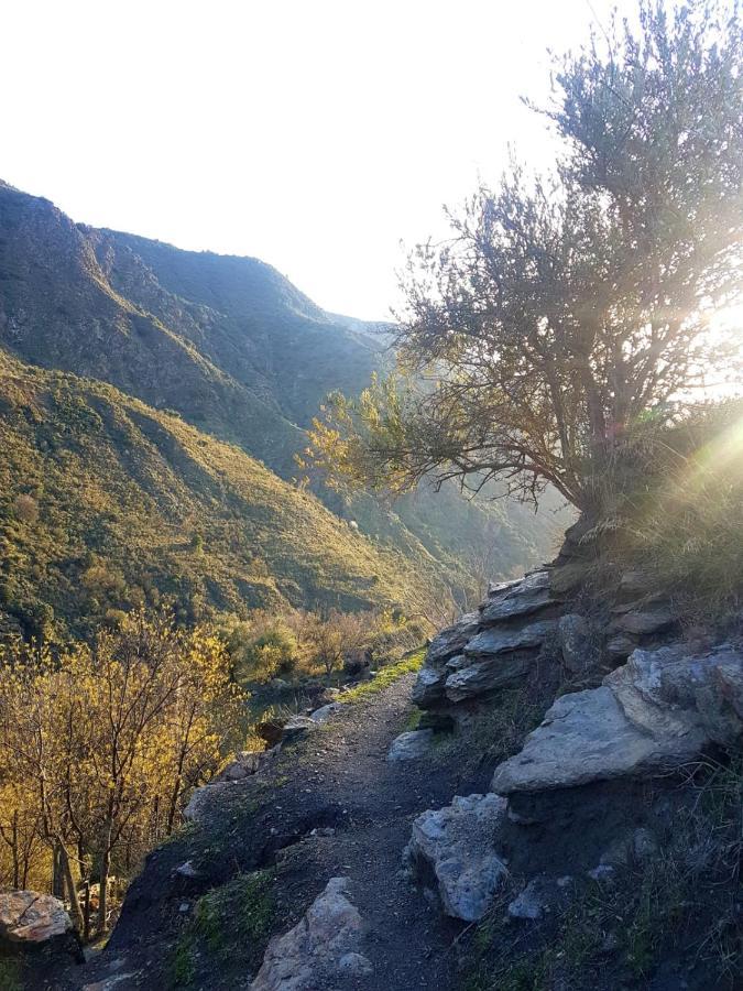 Villa Castano Real Atalbeitar Esterno foto