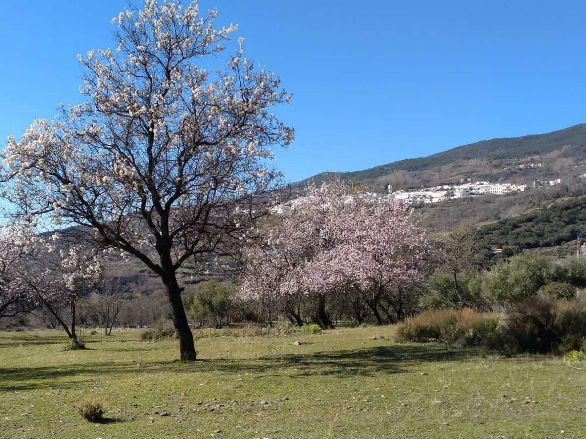 Villa Castano Real Atalbeitar Esterno foto