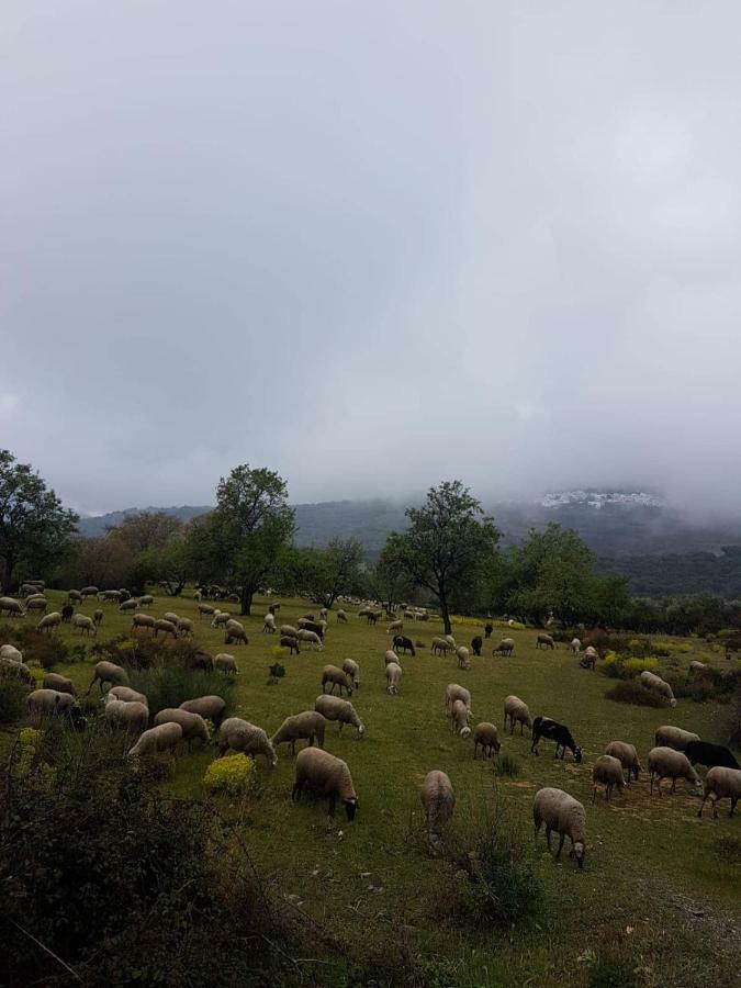 Villa Castano Real Atalbeitar Esterno foto